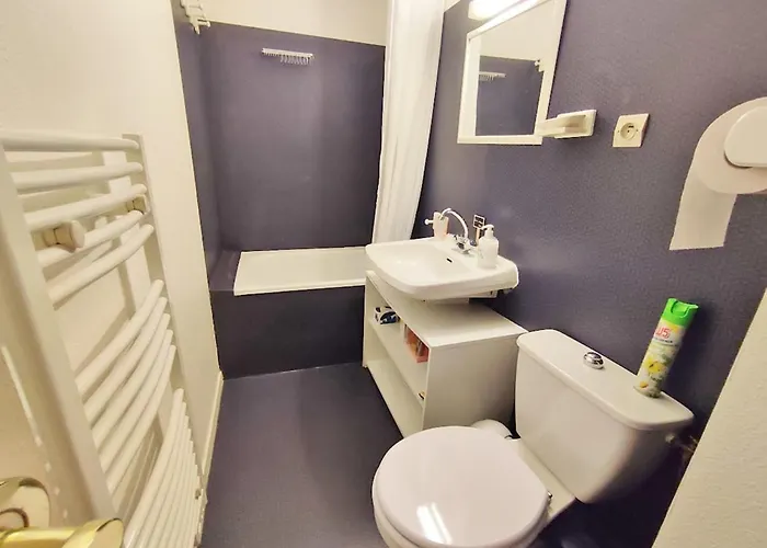 Appartement Le Sentein, T2, Centre, Parking, Jardin, 2 Personnes Bagnères-de-Luchon